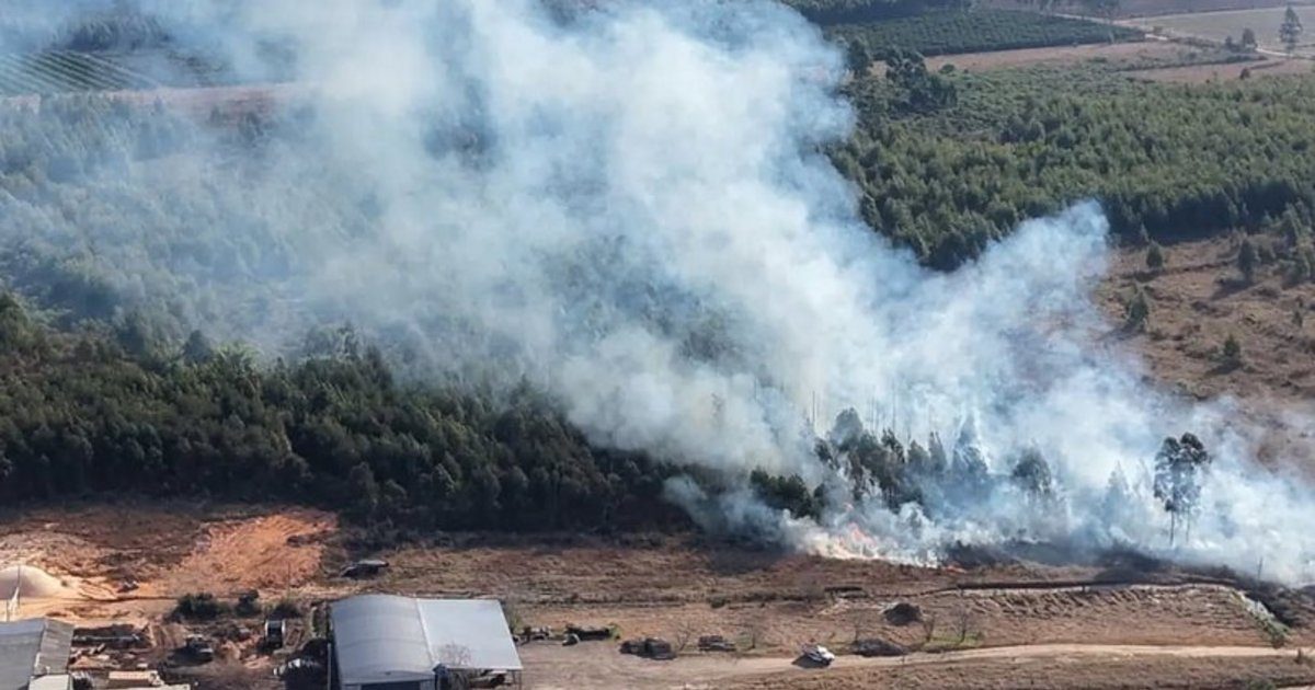Vientos fuertes disparan riesgo extremo de incendios en Corrientes