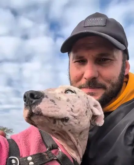 Operan a Riana, la perra rescatada tras años de maltrato