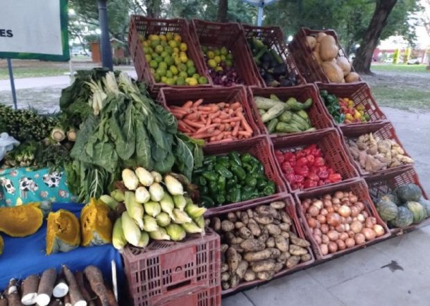 La cebolla llega a $5.000 por kilo en Corrientes