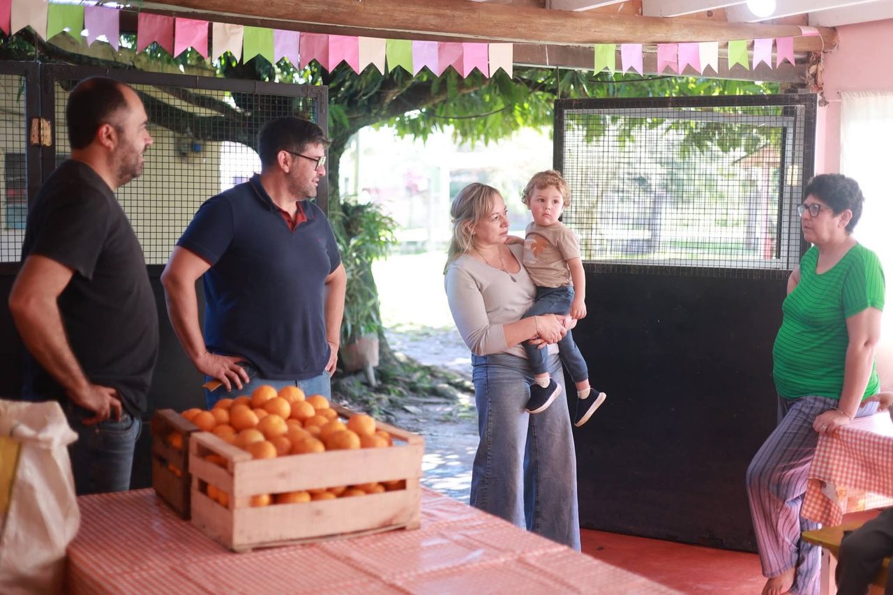 Cosecharon mandarinas para donarlas a un comedor infantil