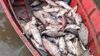 Tres personas con 80 pescados sin permiso en el Paraná