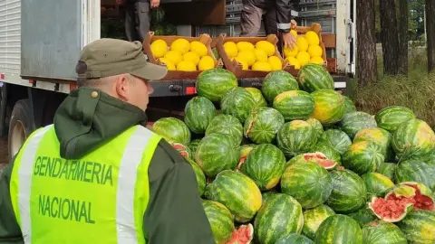 Decomisan casi 9 toneladas de sandías y melones en Corrientes
