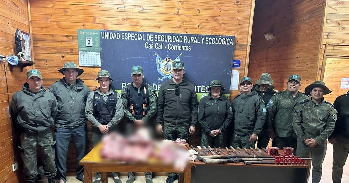 Allanamientos por abigeato en Goya: secuestran escopetas y carne