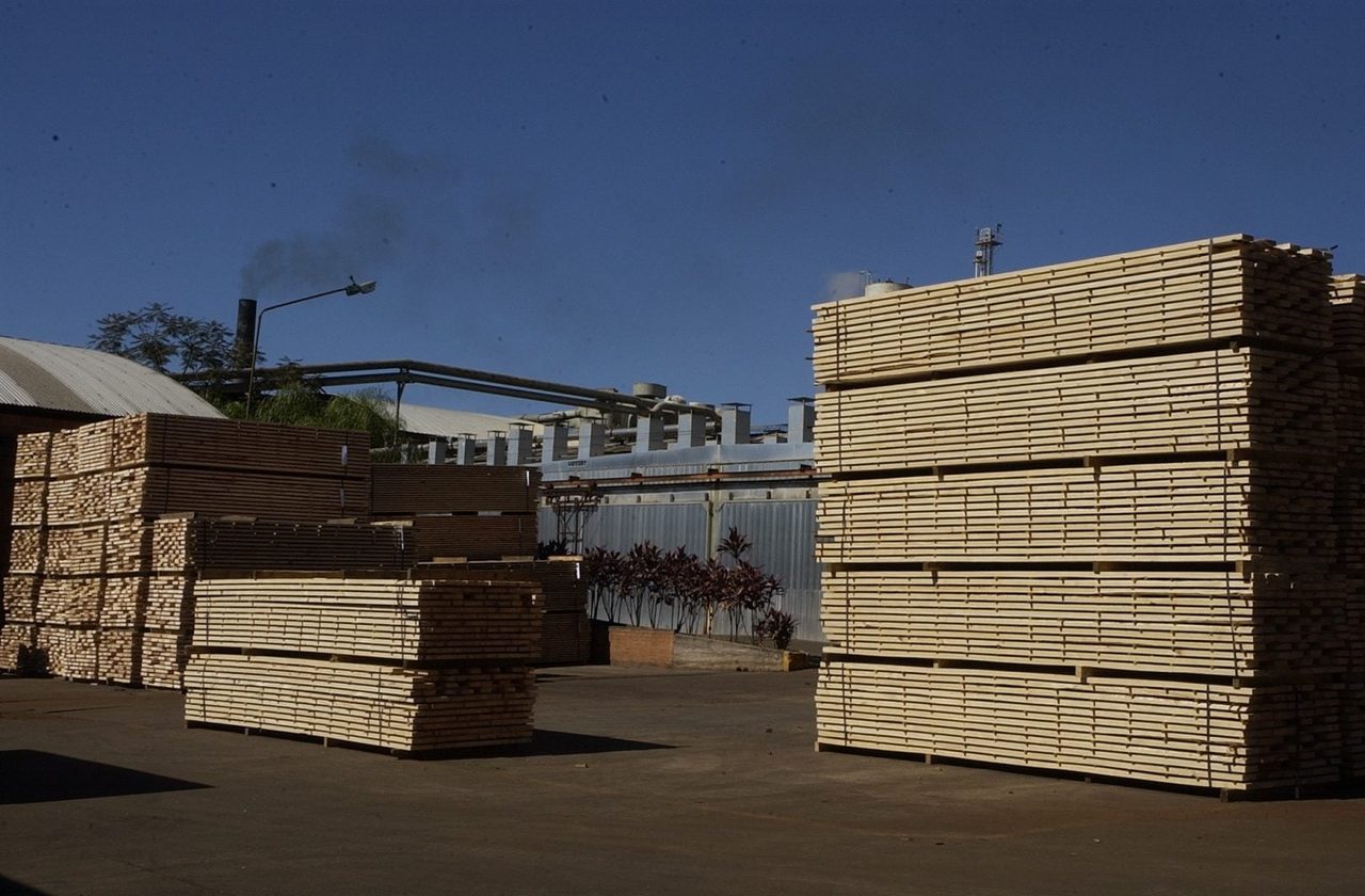 Brasil pierde US$275 millones en exportaciones de madera