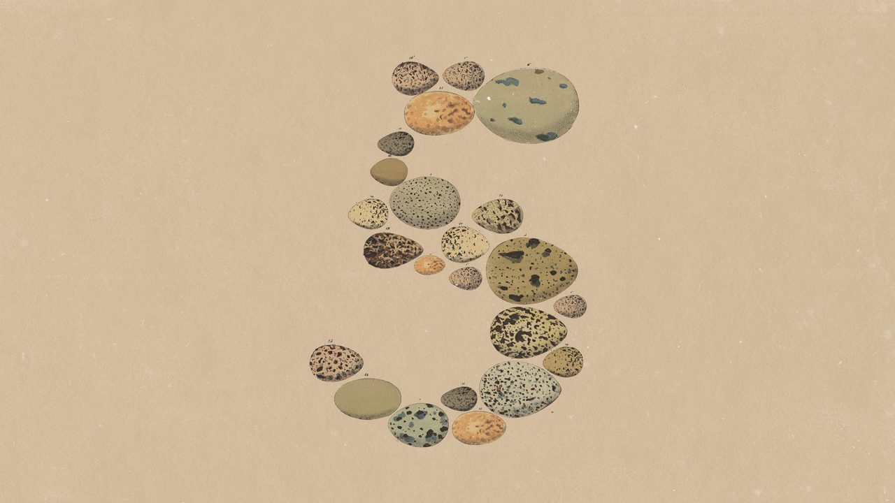 Anthropic lanza Claude Opus 5, más barato y eficiente