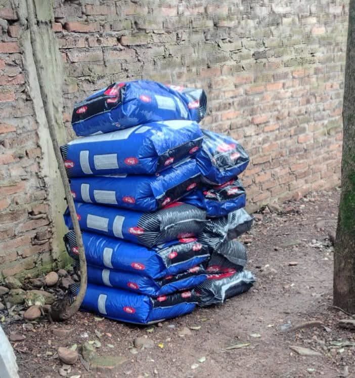 Donación asegura comida para perros de refugio en Santo Tomé