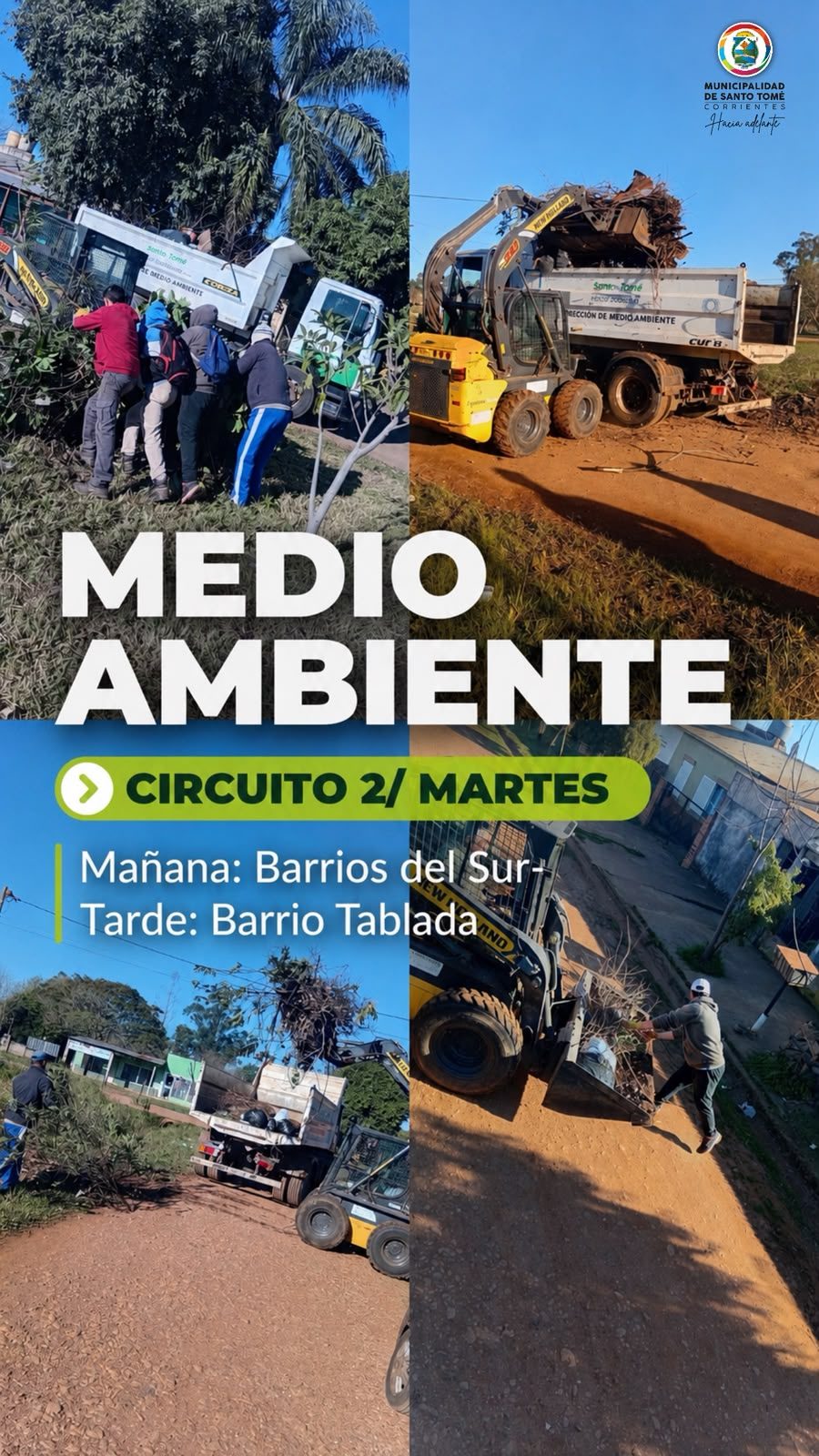 Medio Ambiente : Martes