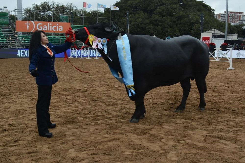 Búfalos correntinos, en Palermo con la mira en Ituzaingó
