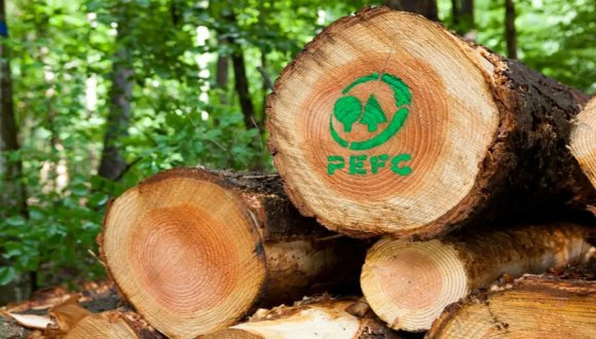 Garabí y Virasoro, motores de la madera certificada correntina