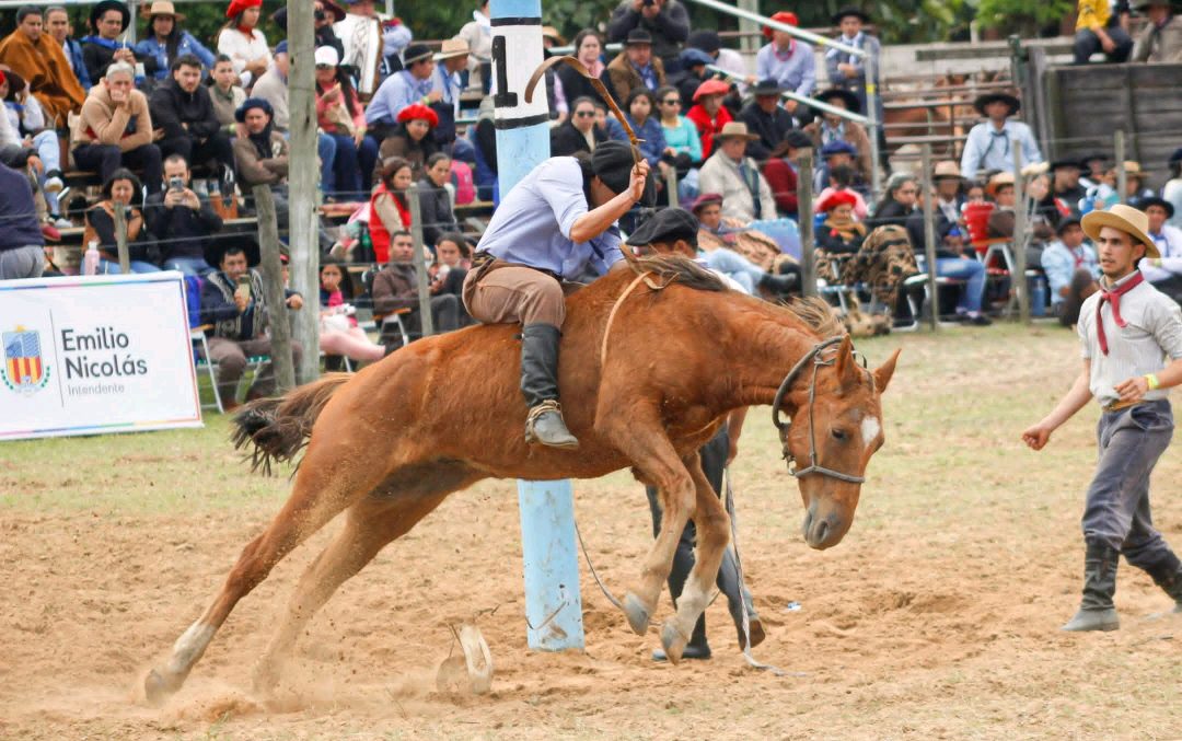 Terminó la Fiesta de la Yerra y Doma Correntina