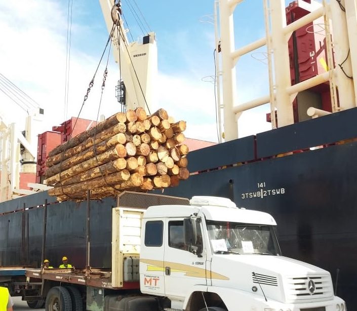La demanda interna de madera cayó 40% en el año