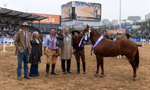Un caballo correntino se destacó en la Rural de Palermo