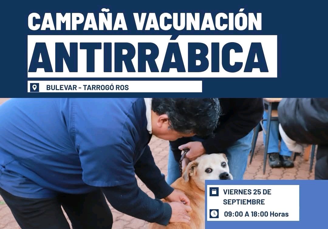 Vacunación antirrábica gratuita para perros y gatos