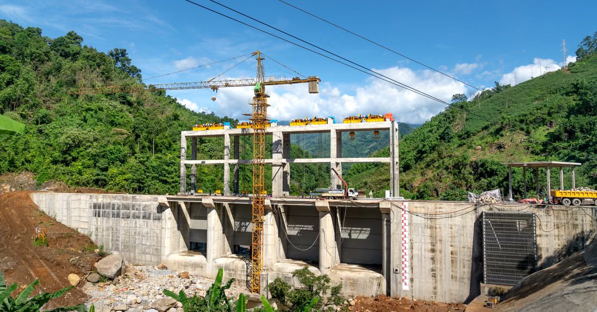 Foto: Quang Nguyen Vinh / Pexels