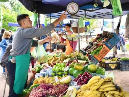 Las Ferias de la Ciudad recorren plazas y la costanera hasta el domingo