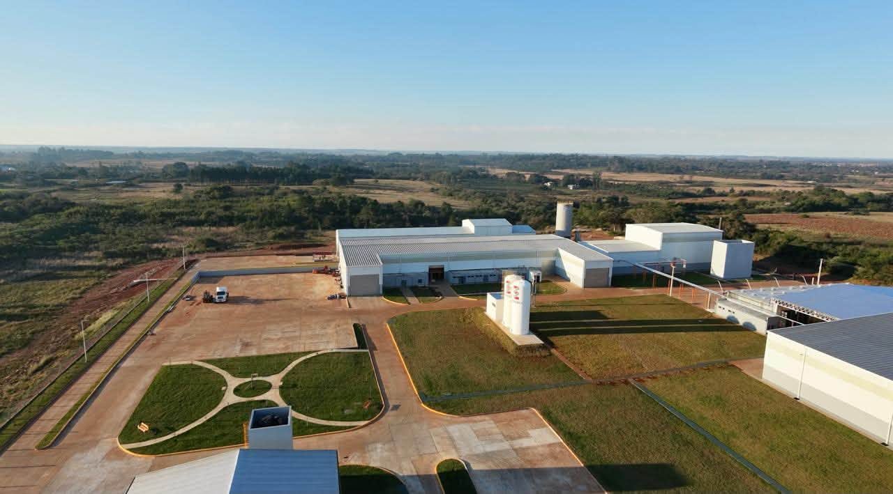 Santo Tomé tendrá una de las plantas madereras líderes de Sudamérica