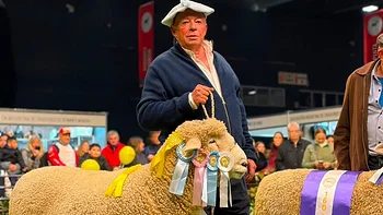 Un carnero correntino se consagró campeón en Palermo