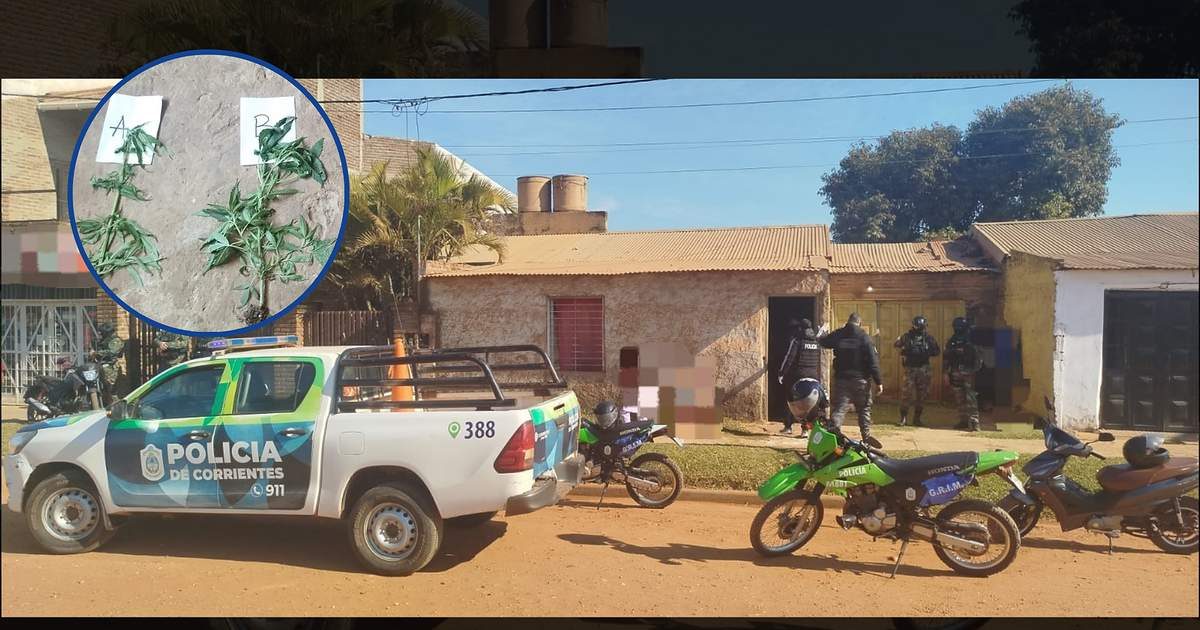 Corrientes: allanamientos antidroga dejan un detenido