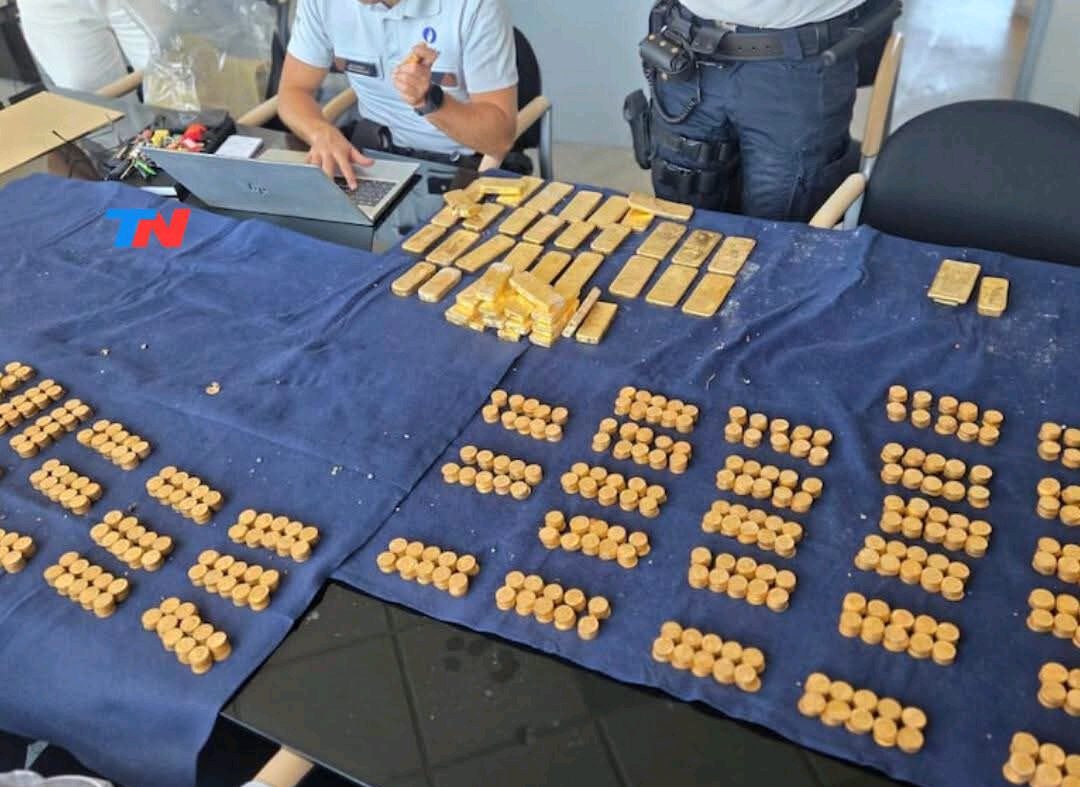 Un joven encontró 49 lingotes y 4.000 monedas de oro en una obra