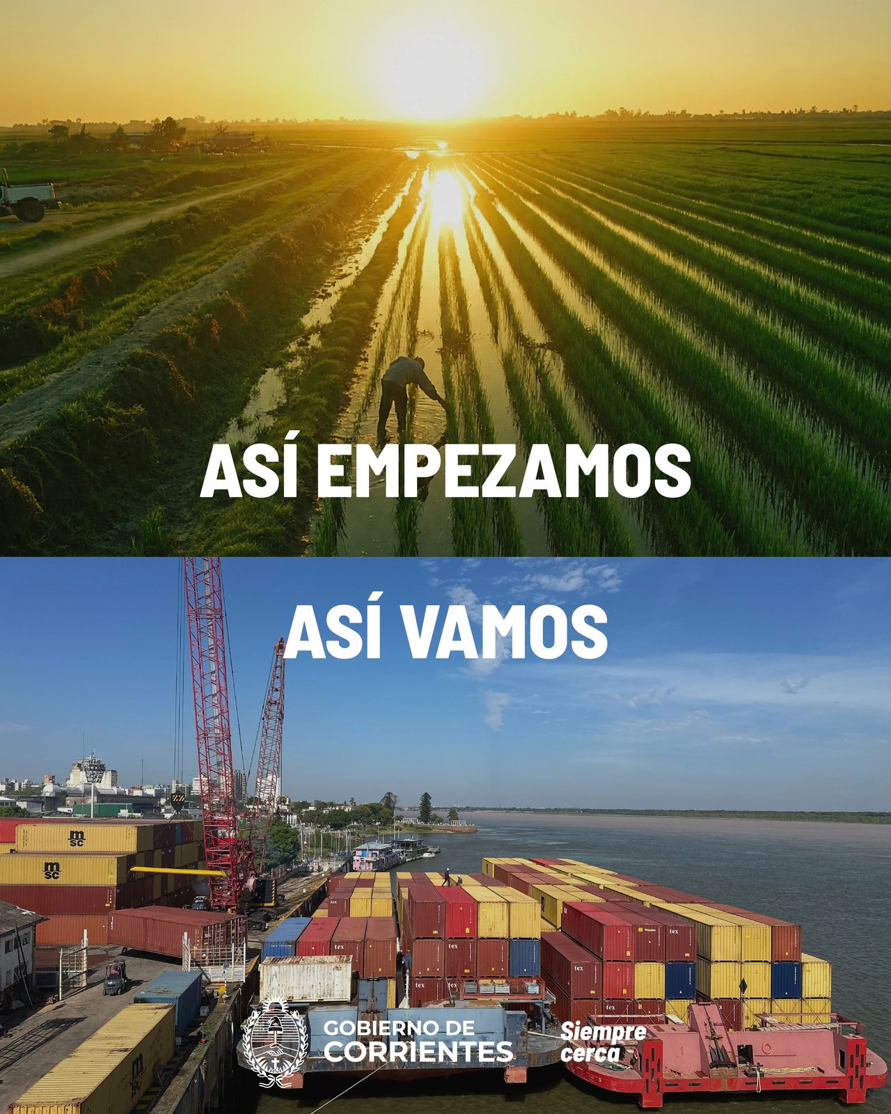 La producción correntina, del campo a cada hogar