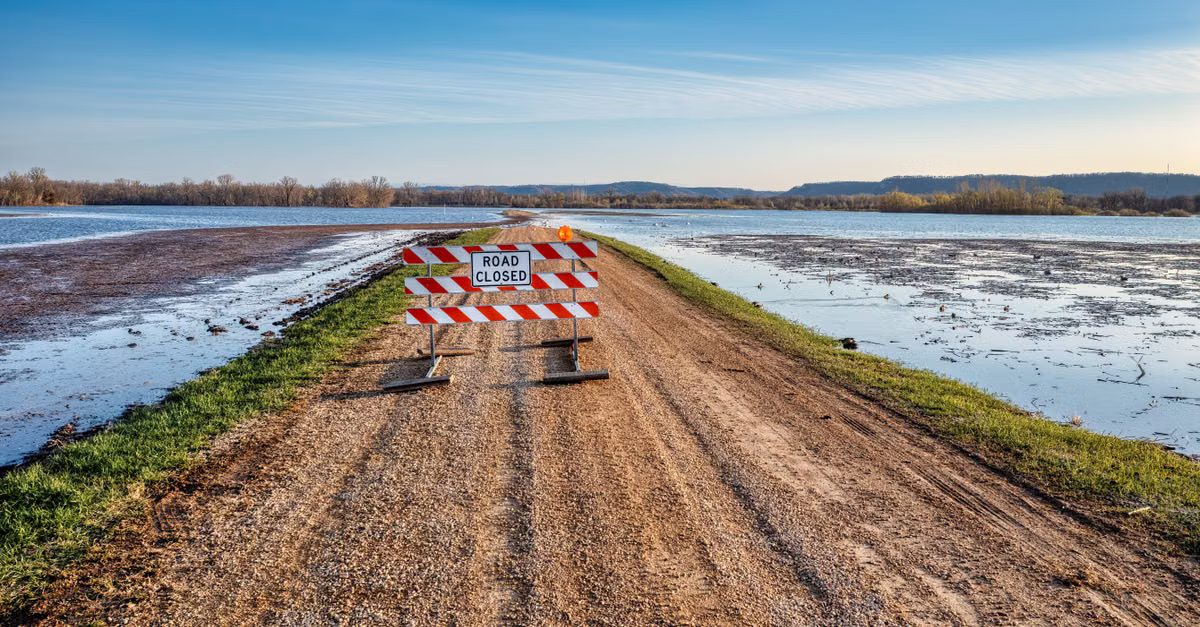 Foto: Tom Fisk / Pexels