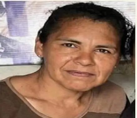 Refuerzan con drones la búsqueda de la docente desaparecida en Esquina