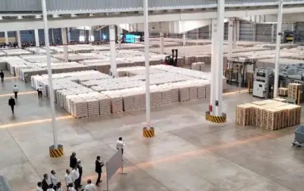 Corrientes lidera el salto exportador de madera argentina