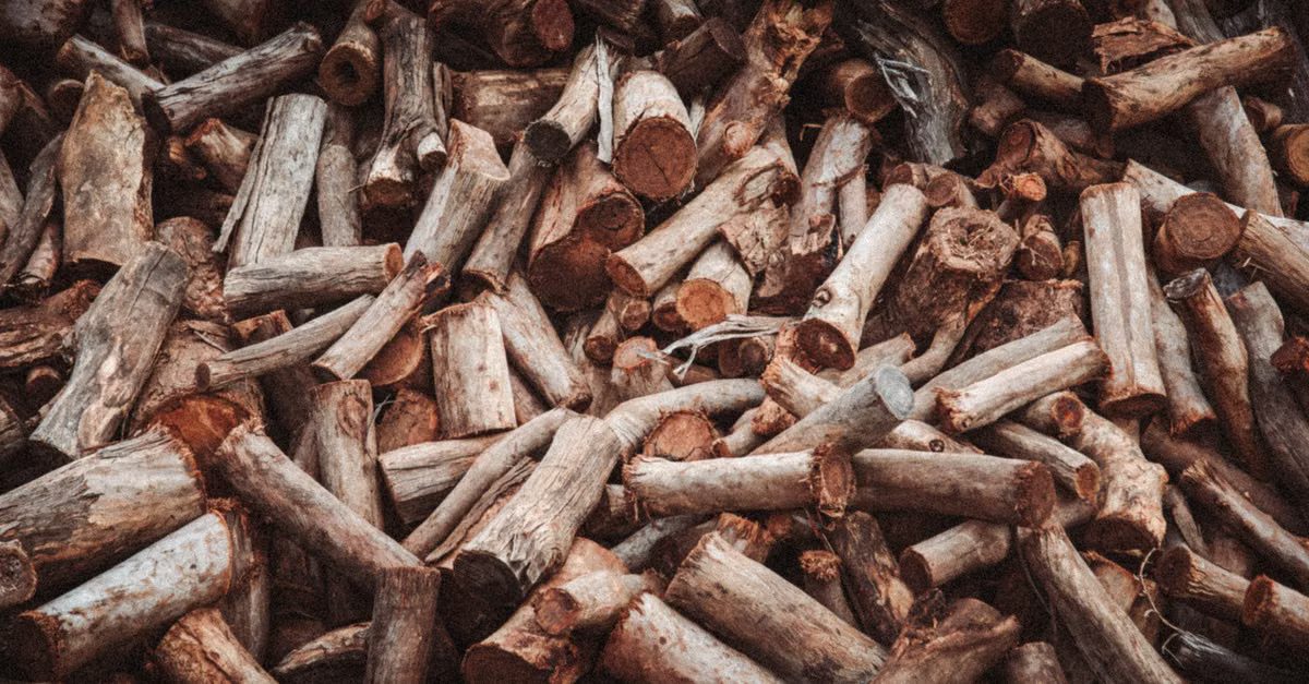 Foto: Matt Webster / Pexels