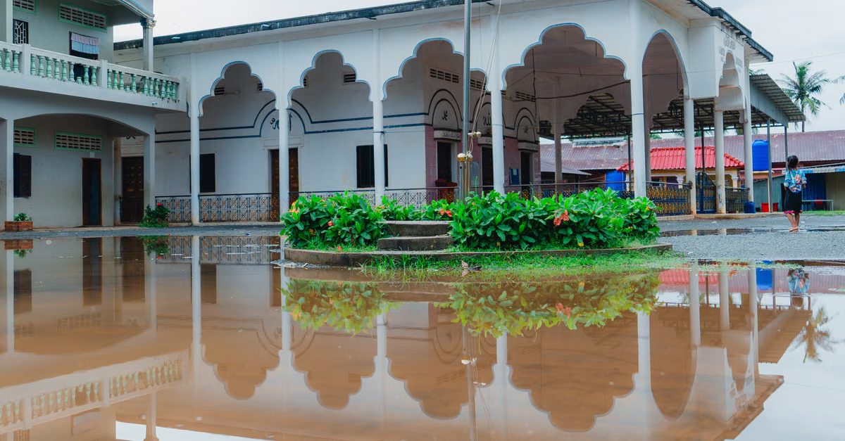 Foto: Sinan KRIYA / Pexels