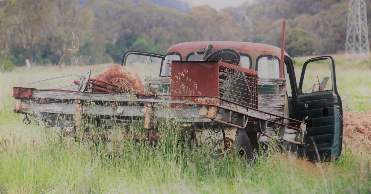Foto: Lynn Elder / Pexels