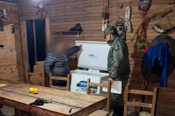 Robó un chancho, lo carneó y vendió la carne al vecindario