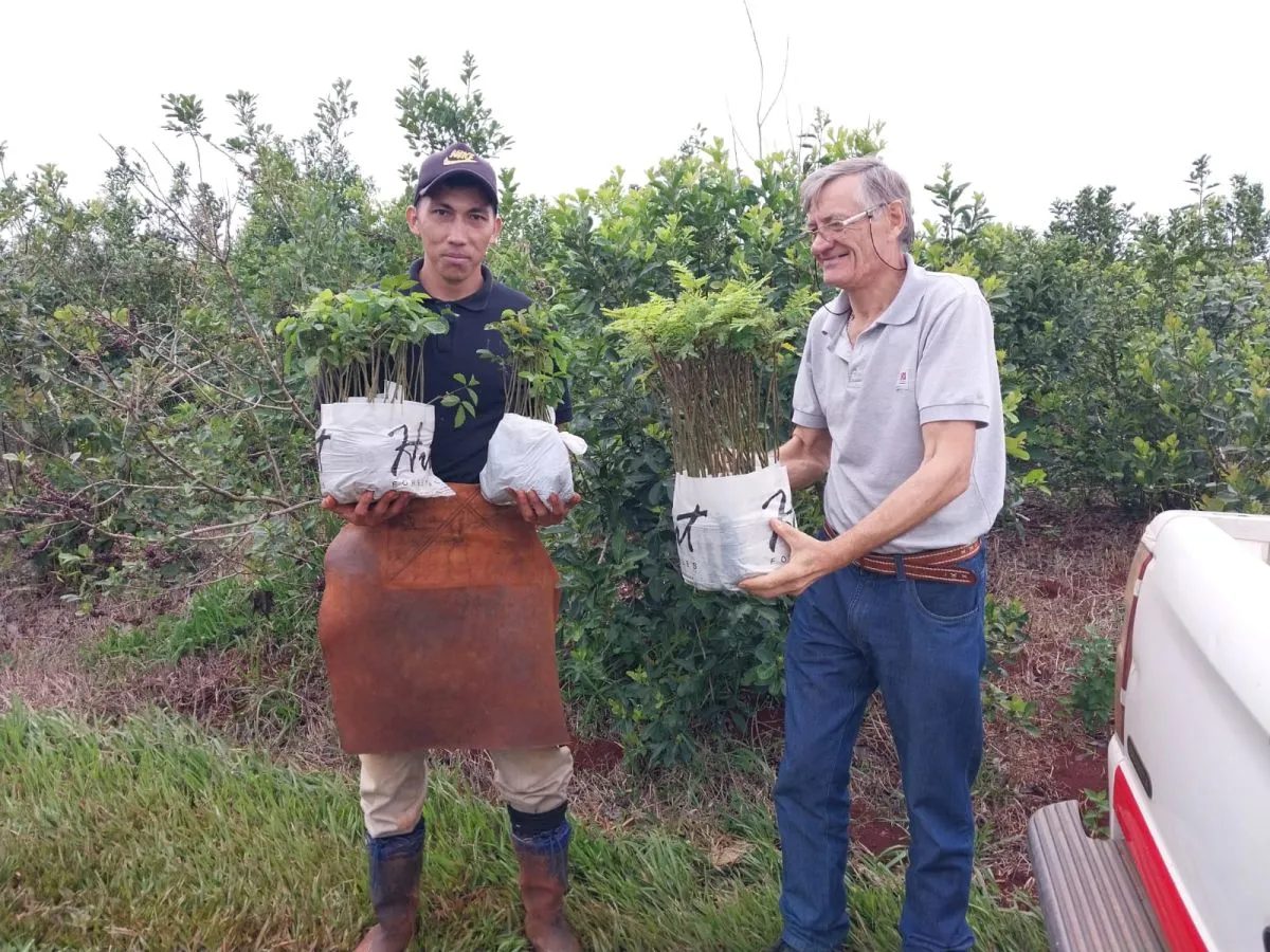 Miden la huella de carbono de 59 productores de yerba mate en Misiones