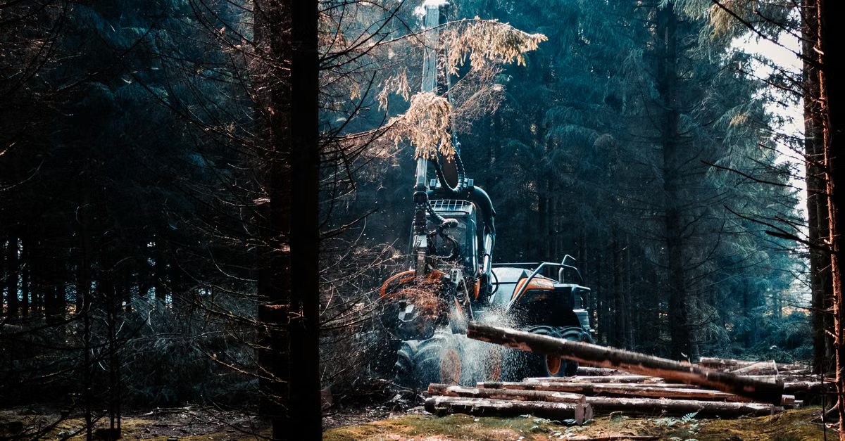 Foto: Nicklas Toft / Pexels