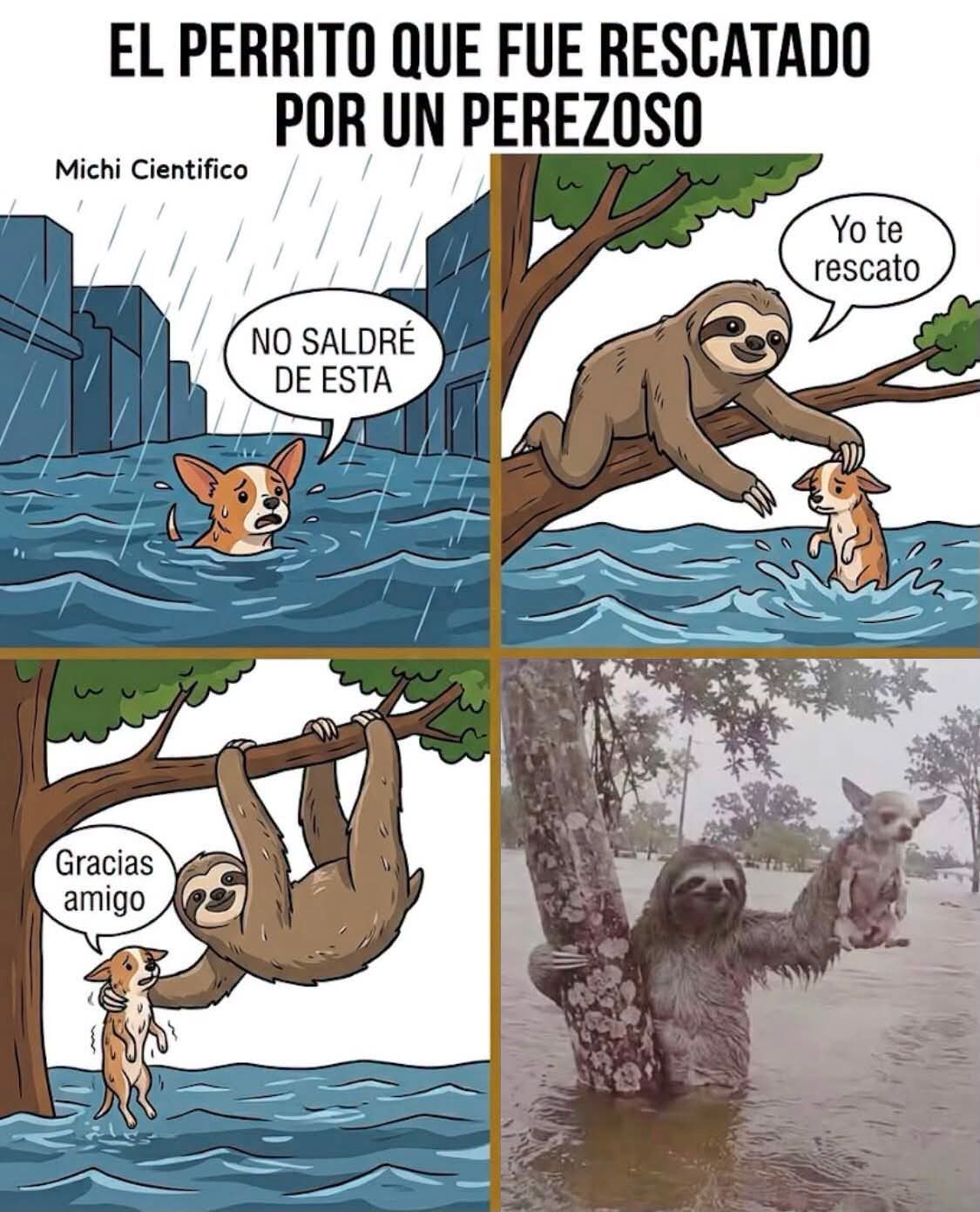 Un perezoso rescató a un perro durante una inundación