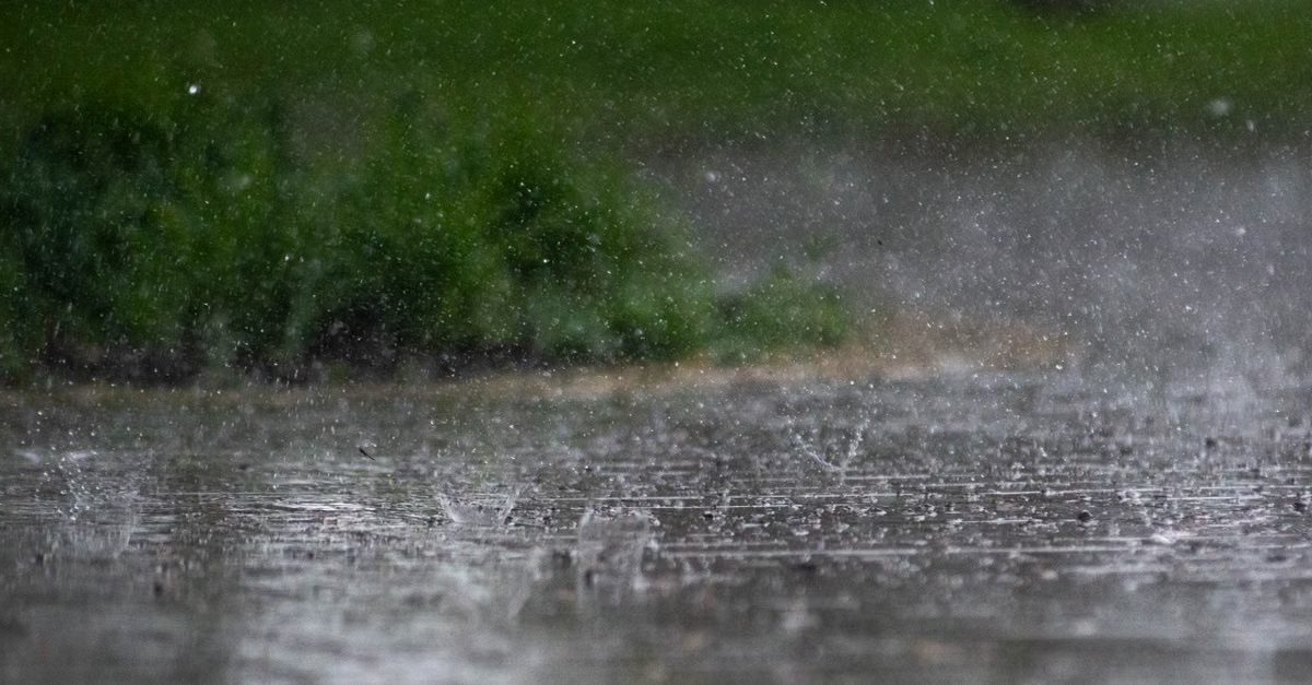 Foto: Александр Лич / Pexels