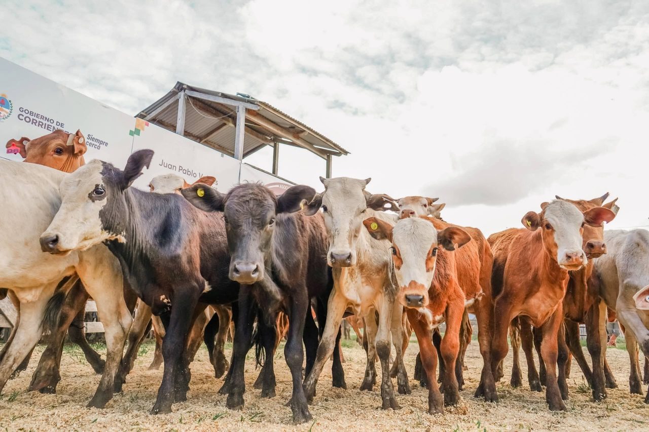 La Expo Rural de El Pombero sigue con su segunda jornada