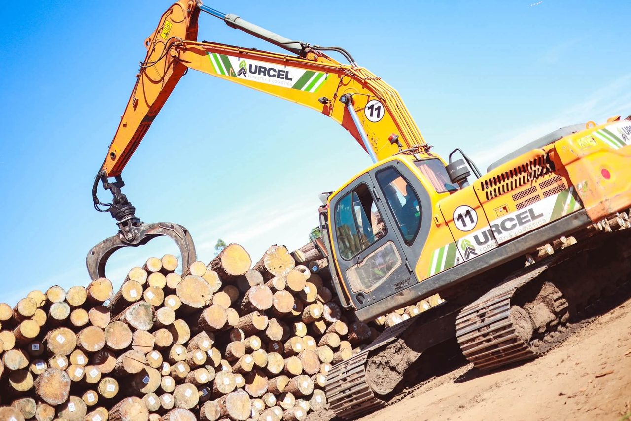 Una empresa forestal de Santo Tomé exporta a India