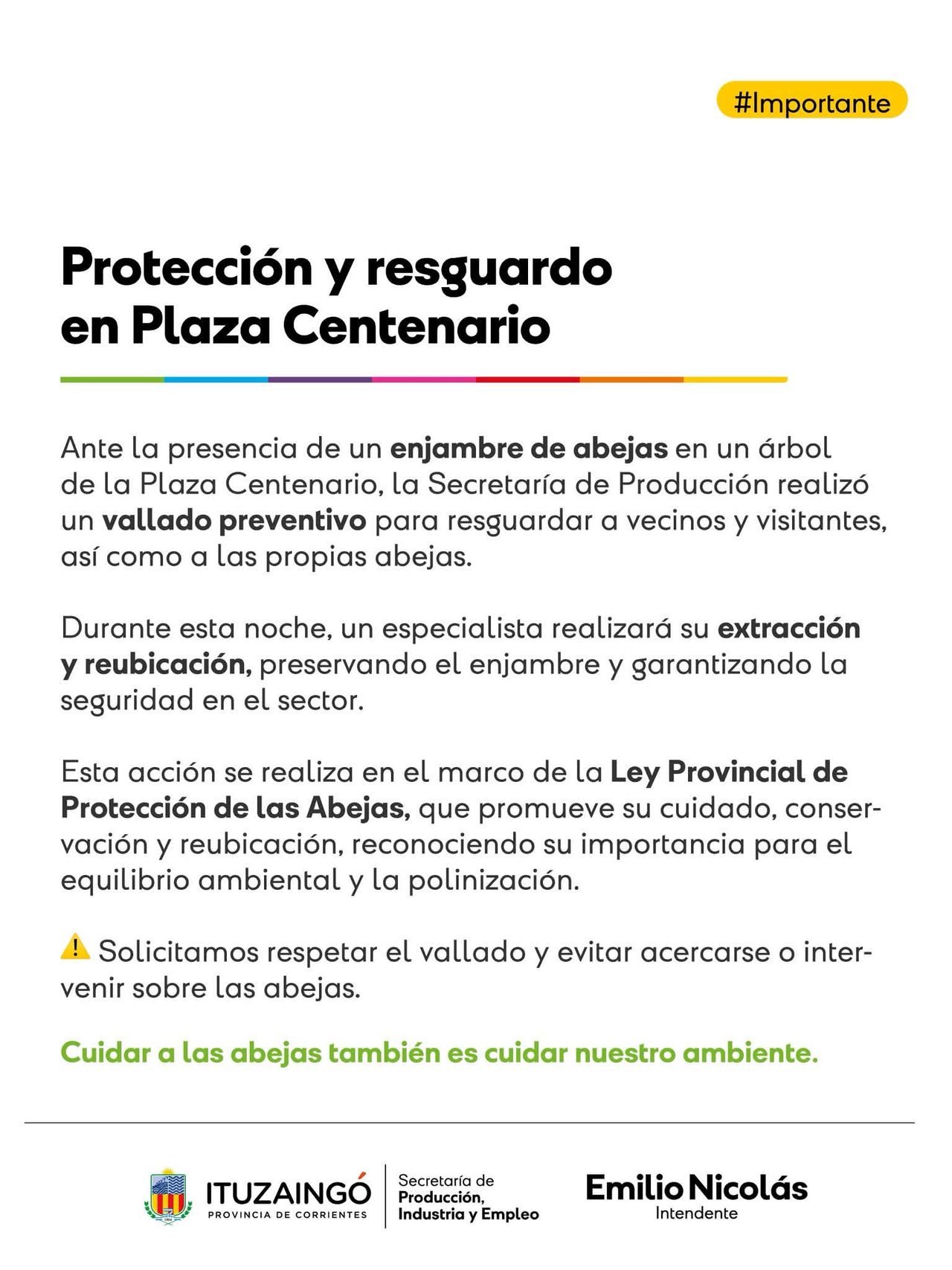 Vallan un sector de la Plaza Centenario por un enjambre de abejas