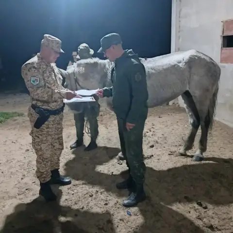 Hallan un caballo abandonado que sería de cuatreros en Ituzaingó