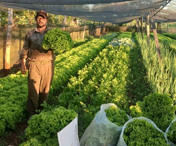 Dejó la actividad forestal tras un bypass y vive de su huerta en Corrientes