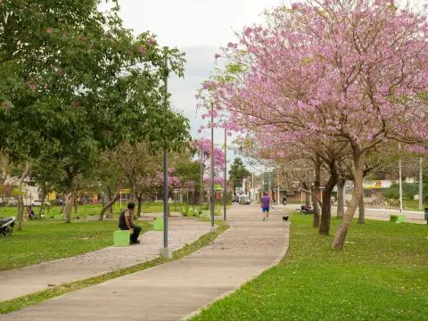 Concurso municipal premia con un iPhone la mejor foto de un árbol florecido