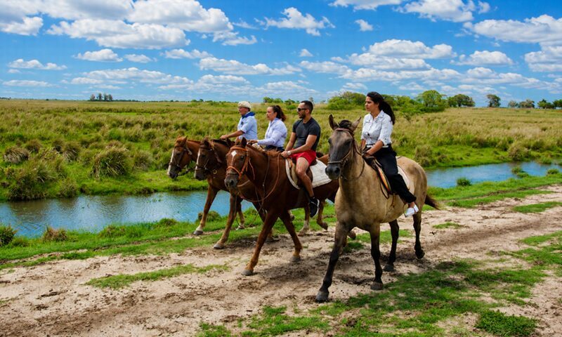 Loreto llevó su oferta de aves y naturaleza a la feria de turismo