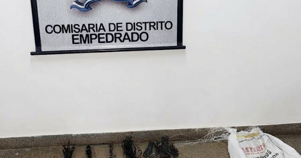 Recuperan cables robados de un transformador en Corrientes