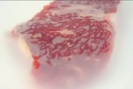 Crean un envase biodegradable para conservar carne vacuna