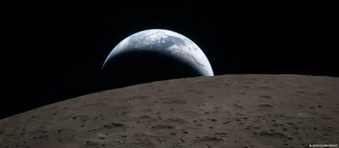 Un hongo terrestre podría sobrevivir en los polos lunares