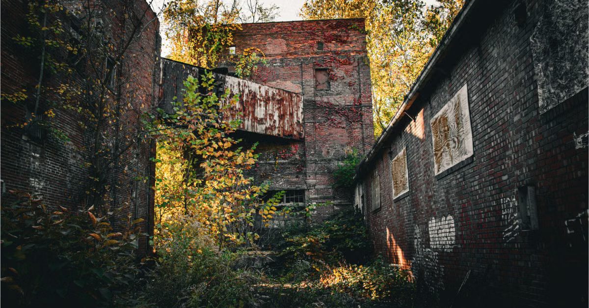 Foto: Kandice Boyd-Roberts / Pexels