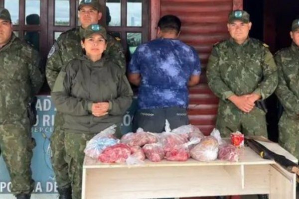 Allanamientos por abigeato en Corrientes: un detenido y 19 bolsas de carne secuestradas