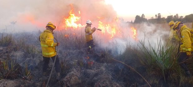 Incendios rurales rodearon seis casas en Santo Tomé