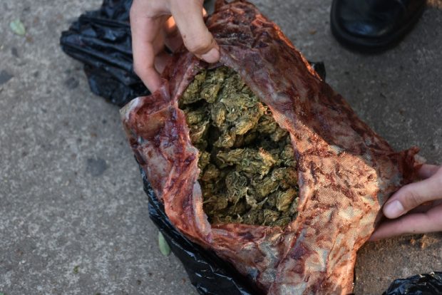 Un perro detectó marihuana escondida con café en un auto