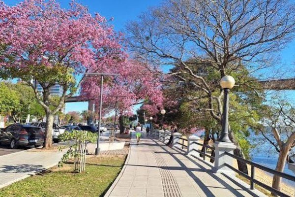 Alerta por robos con inhibidores en la costanera de Corrientes